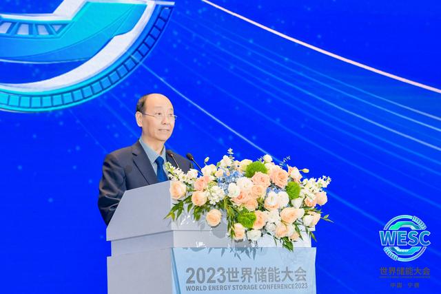 中國電池工業協會理事長劉寶生：警惕資本過熱造成低端儲能盲目擴張